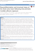 Cover page: Neuroinflammation and structural injury of the fetal ovine brain following intra-amniotic Candida albicans exposure