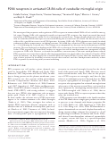 Cover page: P2X4 receptors in activated C8-B4 cells of cerebellar microglial origin