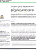 Cover page: The genetic basis for adaptation of model-designed syntrophic co-cultures