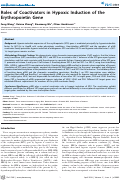 Cover page: Roles of coactivators in hypoxic induction of the erythropoietin gene.