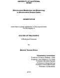 Cover page: Mitochondrial Metabolism and Morphology in Mitochondrial Disease States