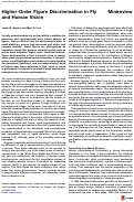 Cover page: Higher-Order Figure&nbsp;Discrimination in Fly and Human Vision
