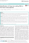 Cover page: Identification of long non-coding RNA in the horse transcriptome