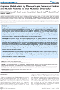 Cover page: Arginine Metabolism by Macrophages Promotes Cardiac and Muscle Fibrosis in mdx Muscular Dystrophy