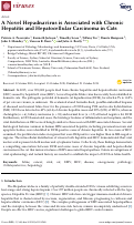 Cover page: A Novel Hepadnavirus is Associated with Chronic Hepatitis and Hepatocellular Carcinoma in Cats.