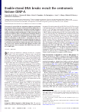 Cover page: Double-strand DNA breaks recruit the centromeric histone CENP-A