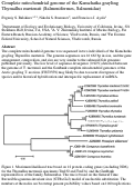 Cover page: Complete mitochondrial genome of the Kamchatka grayling Thymallus mertensii (Salmoniformes, Salmonidae)