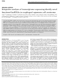 Cover page: Integrative analyses of transcriptome sequencing identify novel functional lncRNAs in esophageal squamous cell carcinoma