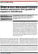 Cover page: APOBEC3B drives PKR-mediated translation shutdown and protects stress granules in response to viral infection