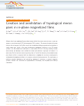 Cover page: Creation and annihilation of topological meron pairs in in-plane magnetized films