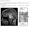 Cover page: An in vitro experimental investigation of oscillatory flow in the cerebral aqueduct