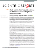 Cover page: Multi-terminal spin valve in a strong Rashba channel exhibiting three resistance states