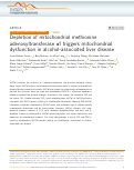 Cover page: Depletion of mitochondrial methionine adenosyltransferase α1 triggers mitochondrial dysfunction in alcohol-associated liver disease