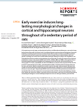 Cover page: Early exercise induces long-lasting morphological changes in cortical and hippocampal neurons throughout of a sedentary period of rats