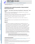 Cover page: Endothelial struts enable the generation of large lumenized blood vessels de novo