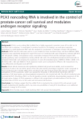 Cover page: PCA3 noncoding RNA is involved in the control of prostate-cancer cell survival and modulates androgen receptor signaling