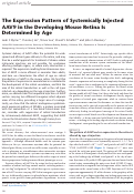 Cover page: The Expression Pattern of Systemically Injected AAV9 in the Developing Mouse Retina Is Determined by Age