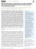 Cover page: Mitochondrial genome undergoes de novo DNA methylation that protects mtDNA against oxidative damage during the peri-implantation window