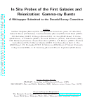 Cover page: In Situ Probes of the First Galaxies and Reionization: Gamma-ray Bursts