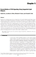 Cover page: Reconstitution of TCR Signaling Using Supported Lipid Bilayers