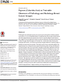 Cover page: Pigeons (Columba livia) as Trainable Observers of Pathology and Radiology Breast Cancer Images