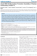 Cover page: Uracil DNA N-Glycosylase Promotes Assembly of Human Centromere Protein A