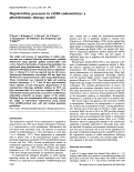 Cover page: Uterus and endometrium: Regeneration processes in rabbit endometrium: a photodynamic therapy model