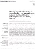 Cover page: Mutually Dependent Clustering of SynDIG4/PRRT1 and AMPA Receptor Subunits GluA1 and GluA2 in Heterologous Cells and Primary Neurons