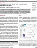 Cover page: Stabilization of fault slip by fluid injection in the laboratory and in situ