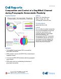 Cover page: Composition and Control of a Deg/ENaC Channel during Presynaptic Homeostatic Plasticity.