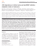 Cover page: JUN dependency in distinct early and late BRAF inhibition adaptation states of melanoma.
