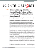 Cover page: Osteoblast Lineage Cells Play an Essential Role in Periodontal Bone Loss Through Activation of Nuclear Factor-Kappa B