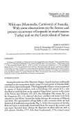 Cover page: Wild cats (Mammalia, Carnivora) of Anatolia. With some observations  on the former and present occurrence of leopards in southeastern Turkey and on the Greek island of Samos