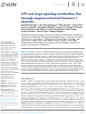 Cover page: ATP and large signaling metabolites flux through caspase-activated Pannexin 1 channels