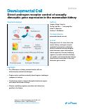 Cover page: Direct androgen receptor control of sexually dimorphic gene expression in the mammalian kidney