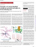 Cover page: Linking hippocampal multiplexed tuning, Hebbian plasticity and navigation