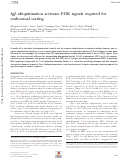 Cover page: Igβ ubiquitination activates PI3K signals required for endosomal sorting