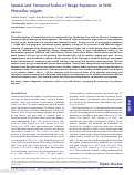 Cover page: Spatial and Temporal Scales of Range Expansion in Wild Phaseolus vulgaris