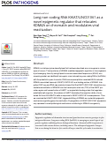 Cover page: Long non-coding RNA KIKAT/LINC01061 as a novel epigenetic regulator that relocates KDM4A on chromatin and modulates viral reactivation