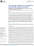 Cover page: The molecular architecture of engulfment during Bacillus subtilis sporulation.