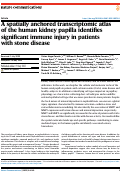 Cover page: A spatially anchored transcriptomic atlas of the human kidney papilla identifies significant immune injury in patients with stone disease.