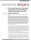 Cover page: The roles of arbuscular mycorrhizal fungi (AMF) in phytoremediation and tree-herb interactions in Pb contaminated soil