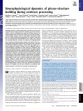 Cover page: Neurophysiological dynamics of phrase-structure building during sentence processing