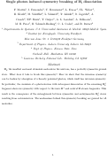 Cover page: Single photon induced symmetry breaking of H2 dissociation