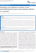 Cover page: Phylogeny and adaptive evolution of the brain-development gene microcephalin (MCPH1) in cetaceans