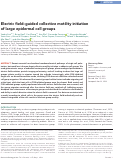 Cover page: Electric field–guided collective motility initiation of large epidermal cell groups