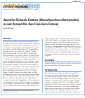 Cover page: Juvenile Chinook Salmon (<em>Oncorhynchus tshawytscha</em>) in and Around the San Francisco Estuary