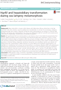 Cover page: Hsp90 and hepatobiliary transformation during sea lamprey metamorphosis