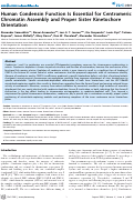 Cover page: Human Condensin Function Is Essential for Centromeric Chromatin Assembly and Proper Sister Kinetochore Orientation