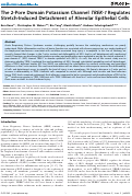 Cover page: The 2-Pore Domain Potassium Channel TREK-1 Regulates Stretch-Induced Detachment of Alveolar Epithelial Cells